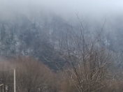 Satılır 10 sot torpaq İsmayıllı