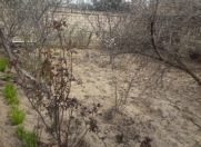 Satılır 4 sot torpaq Sumqayıt