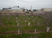 Satılır 12 sot torpaq Buzovna