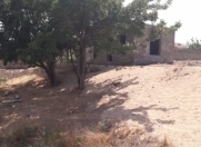 Satılır 16 sot torpaq Pirşağı