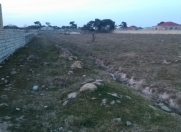 Satılır 26 sot torpaq Nübar