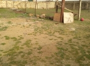 Satılır 4 sot torpaq Qala