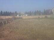 Satılır 14 sot torpaq Novxanı