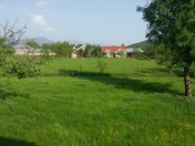 Satılır 12 sot torpaq Qəbələ