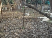Satılır 2 sot torpaq Biləcəri