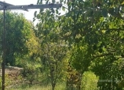 Satılır 6 sot torpaq Sumqayıt