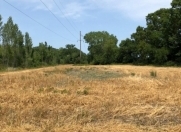 Satılır 52 sot torpaq Xaçmaz