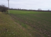 Satılır 600 sot torpaq Xaçmaz