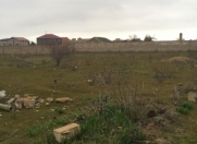 Satılır 24 sot torpaq Albalı