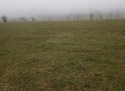 Satılır 3 sot torpaq Saray