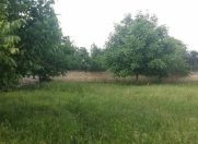 Satılır 13 sot torpaq Qəbələ
