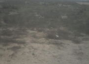 Satılır 12 sot torpaq Kürdəxanı