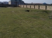 Satılır 10 sot torpaq Məhəmmədli