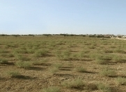 Satılır 3 sot torpaq Maştağa