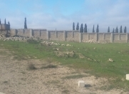 Satılır 12 sot torpaq Məhəmmədli