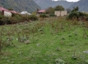 Satılır 10 sot torpaq Qəbələ