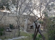 Satılır 2 otaqlı 0 m2 həyət evi Lider telekanalı