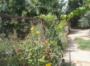 Satılır 10 sot torpaq Əhmədli