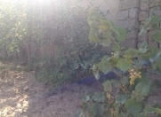 Satılır 12 sot torpaq Novxanı