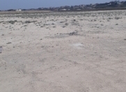 Satılır 600 sot torpaq Novxanı