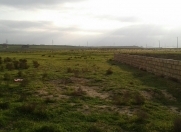 Satılır 4 sot torpaq Saray