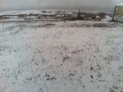 Satılır 12 sot torpaq Şamaxı