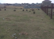 Satılır 20 sot torpaq Novxanı