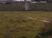 Satılır 3 sot torpaq Atyalı