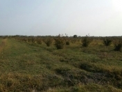 Satılır 300 sot torpaq Xaçmaz