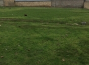 Satılır 20 sot torpaq Sulutəpə