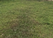 Satılır 7 sot torpaq Məhəmmədli