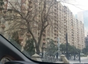 İcarəyə verilir 2 otaqlı 65 m2 yeni tikili Şah İsmayıl Xətai m.