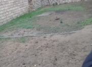 Satılır 12 sot torpaq Görədil
