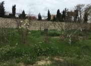 Satılır 5 sot torpaq Şüvəlan