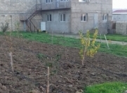 İcarəyə verilir 6 otaqlı 5200 m2 obyekt Güzdək