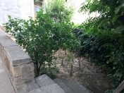 Satılır 2 otaqlı 150 m2 həyət evi Bayıl