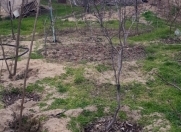 Satılır 10000 sot torpaq Fatmayı