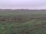 Satılır 1000 sot torpaq Xaçmaz