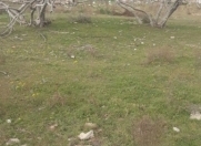 Satılır 12 sot torpaq Şüvəlan Park ticarət mərkəzi