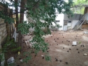 Satılır 3200 sot torpaq Novxanı