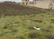 Satılır 2 sot torpaq Məhəmmədli