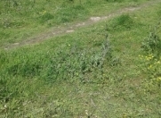 Satılır 3 sot torpaq Saray