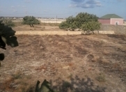 Satılır 16 sot torpaq Kürdəxanı