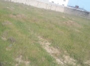 Satılır 12 sot torpaq Zirə