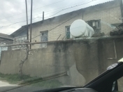 Satılır 5 otaqlı 500 m2 həyət evi Binə