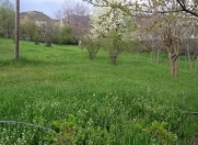 Satılır 12 sot torpaq İsmayıllı