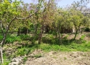 Satılır 3 sot torpaq NZS