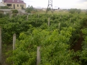 Satılır 24 sot torpaq Gəncə