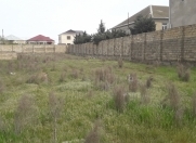 Satılır 15 sot torpaq Mehdiabad