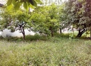 Satılır 3 otaqlı 600 m2 həyət evi İsmayıllı